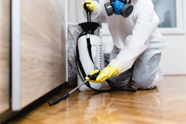 Best Pest Prevention Services  in Minoa, NY