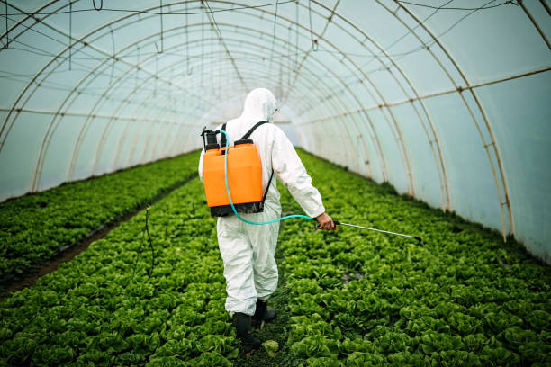 Best Emergency Pest Control  in Minoa, NY