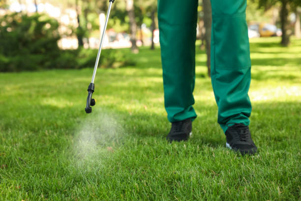Best Affordable Pest Control Services  in Minoa, NY