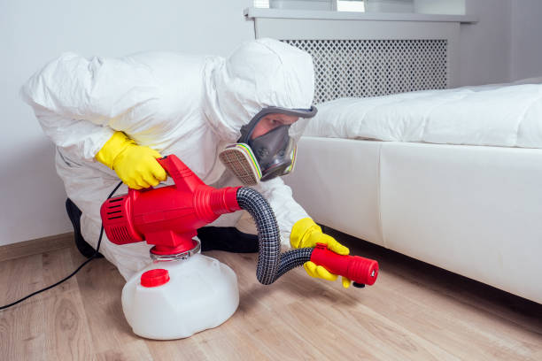 Best Best Pest Control Companies  in Minoa, NY