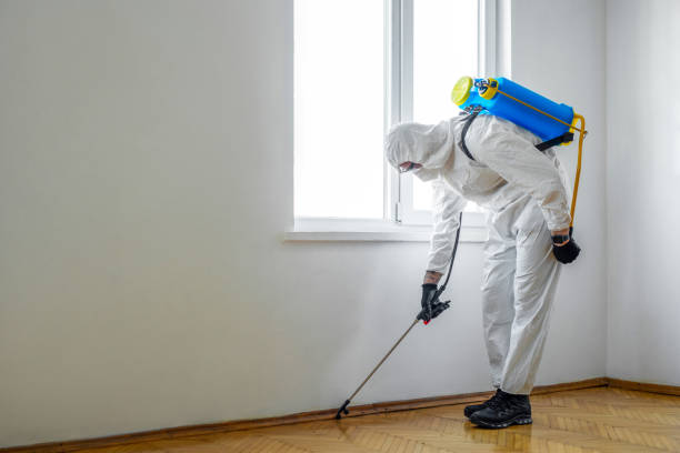 Wildlife Control Services in Minoa, NY