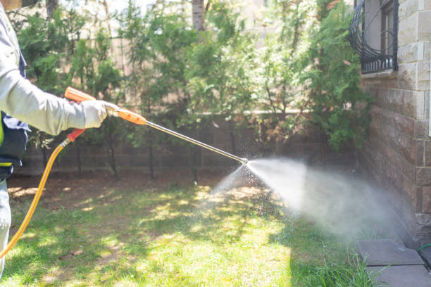 Best Pest Removal Services  in Minoa, NY