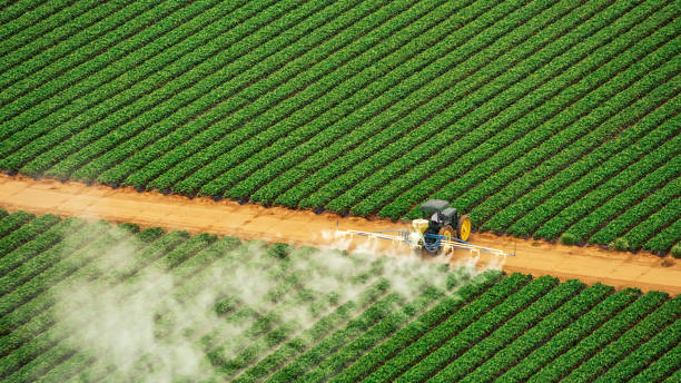 Best Pest Removal Services  in Minoa, NY