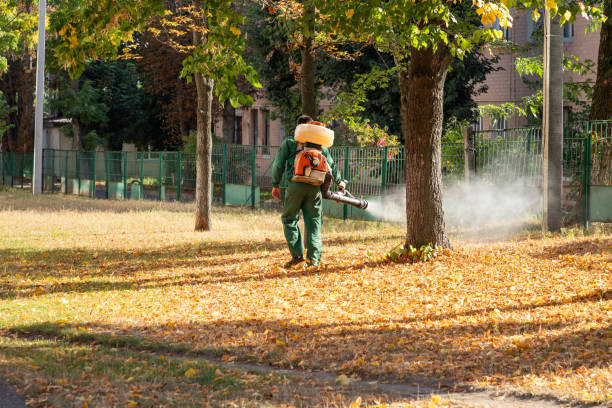 Best Local Pest Control Services  in Minoa, NY